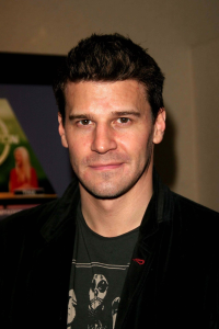 David_Boreanaz_q