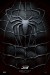 Постер к фильму «Человек-паук 3: Враг в отражении»
