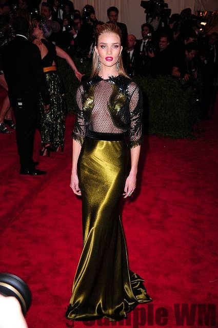 Роузи Хантингтон-Уайтли. Фотографии с мероприятия Met Ball 2013