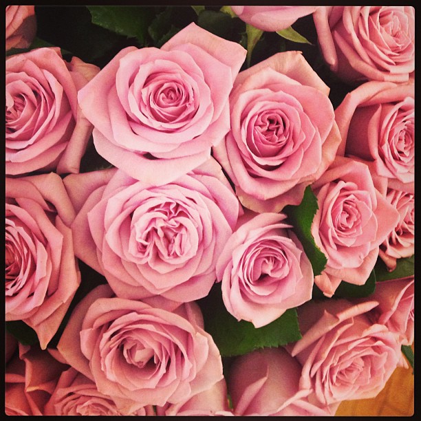 Роузи Хантингтон-Уайтли. Обновление Instagram