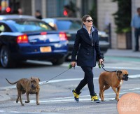 Джессика Бил. Джессика гуляет с собаками в Сохо: