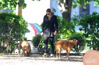 Джессика Бил. Джессика гуляет с собаками в Сохо: