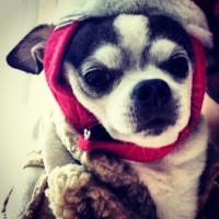 Фото из Instagram'a