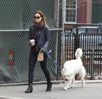 Оливия Уайлд. Оливия, Джейсон и Пако на прогулке по улицам Манхэттена