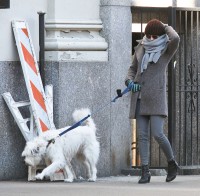 Оливия Уайлд. Оливия и Пако на прогулке по улицам Манхэттена