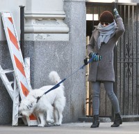 Оливия Уайлд. Оливия и Пако на прогулке по улицам Манхэттена