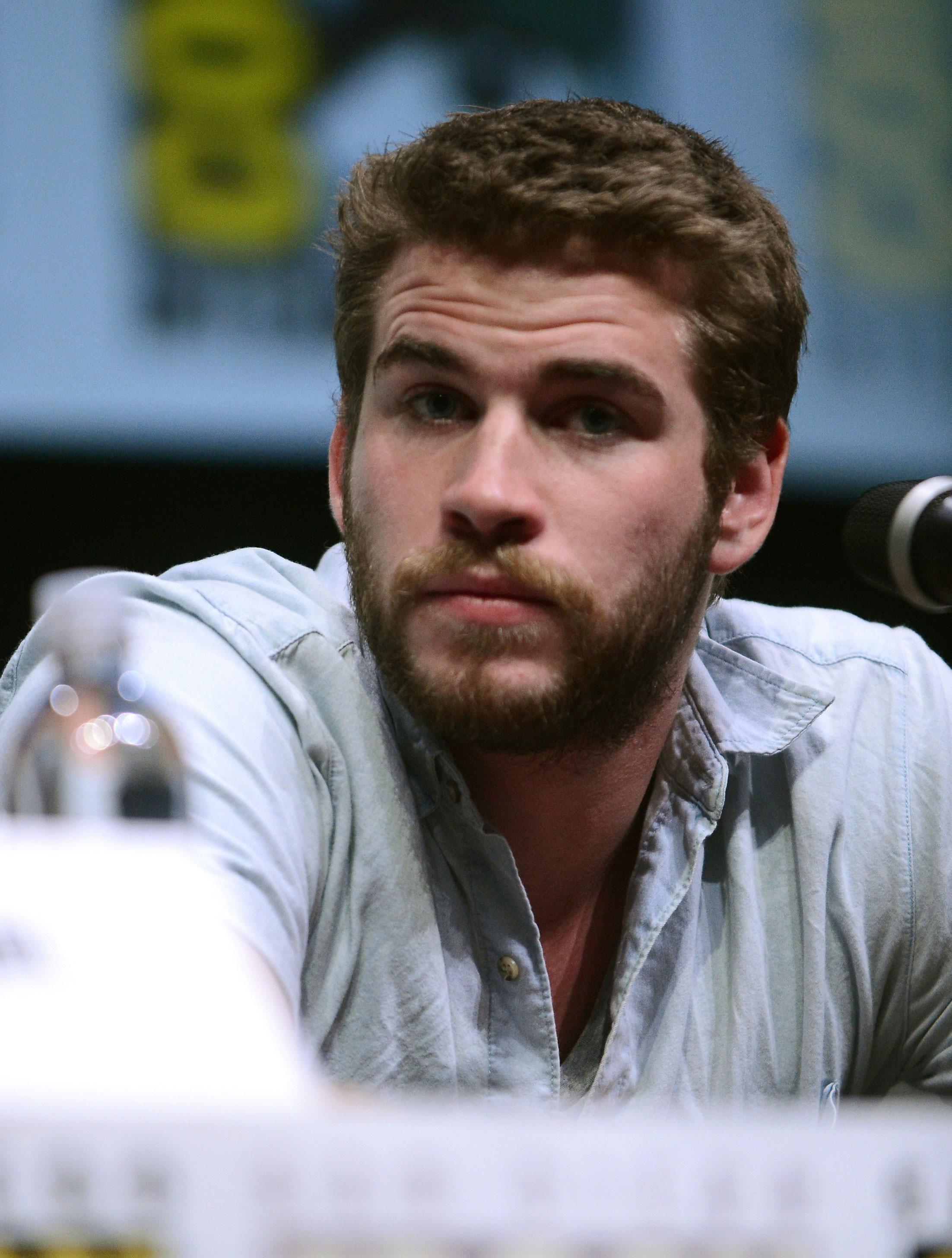 Лиам Хемсворт. «Comic-Con 2013»