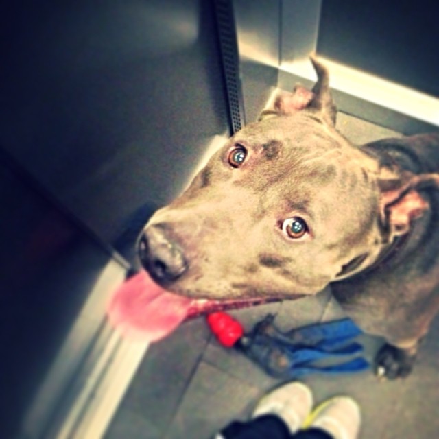 Cурия Вега. Фото из Instagram'а Зури.