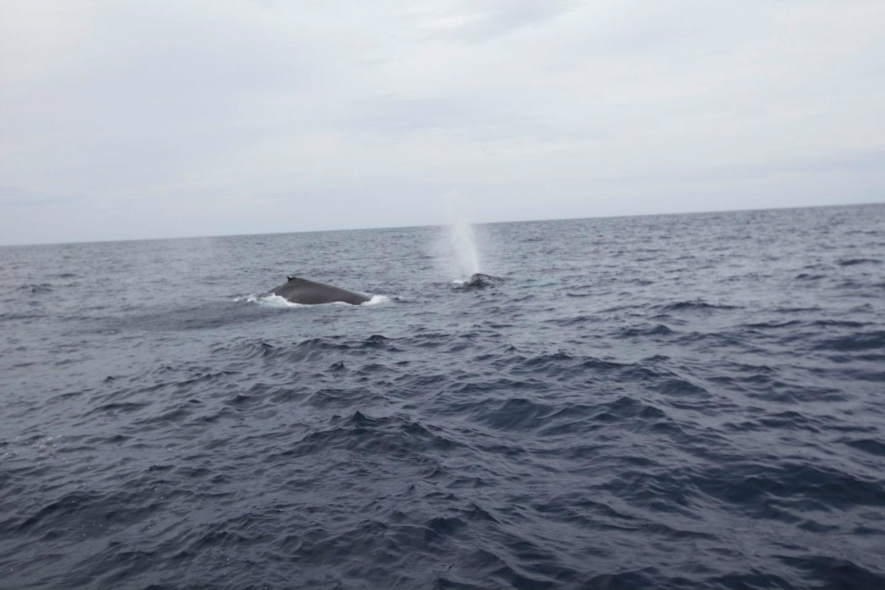 Бейонсе Ноулз. Замечательные фото сделанные во время тура «I Am... World Tour» - часть 1