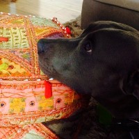 Новые фото из Instagram'а Сурии.