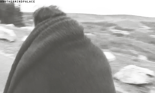 Эндрю Скотт. The Making of "The Stag'"