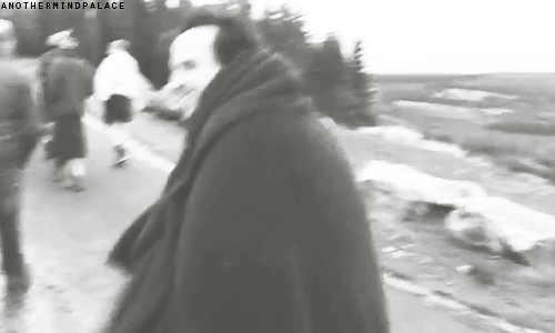 Эндрю Скотт. The Making of "The Stag'"